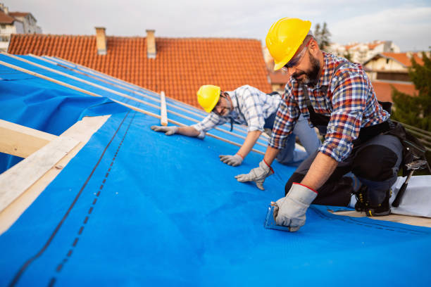 Roof Gutter Cleaning in Auburn, NE